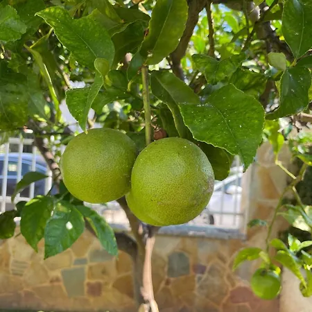 Luxury In - Orangerie